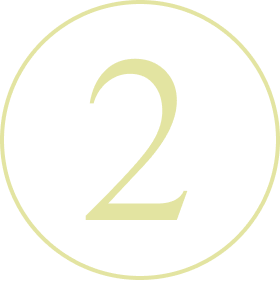 Desarrollo de <em>tu plan: </em><strong>Creamos un camino claro</strong>