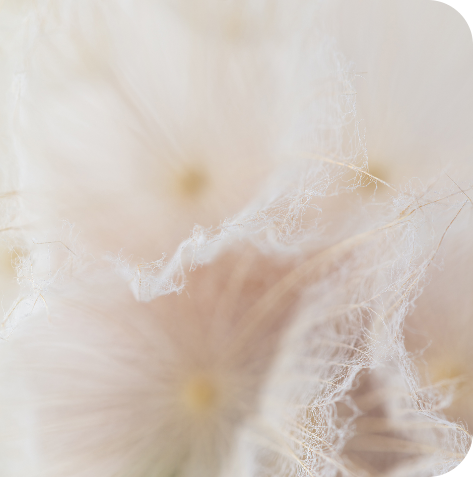 Estás <strong>hecha </strong>para <em>dar vida</em>