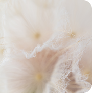 Estás <strong>hecha </strong>para <em>dar vida</em>