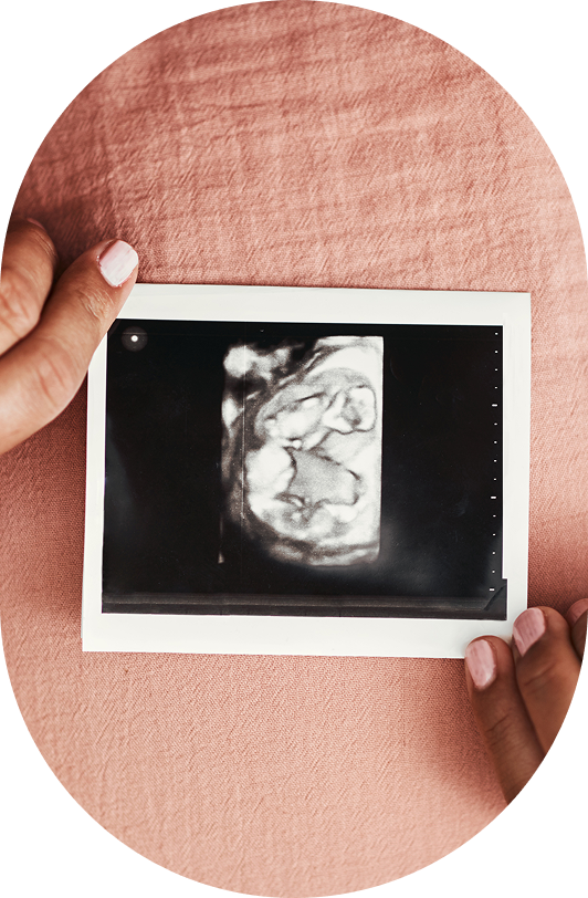 Estás <strong>hecha </strong>para <em>dar vida</em>